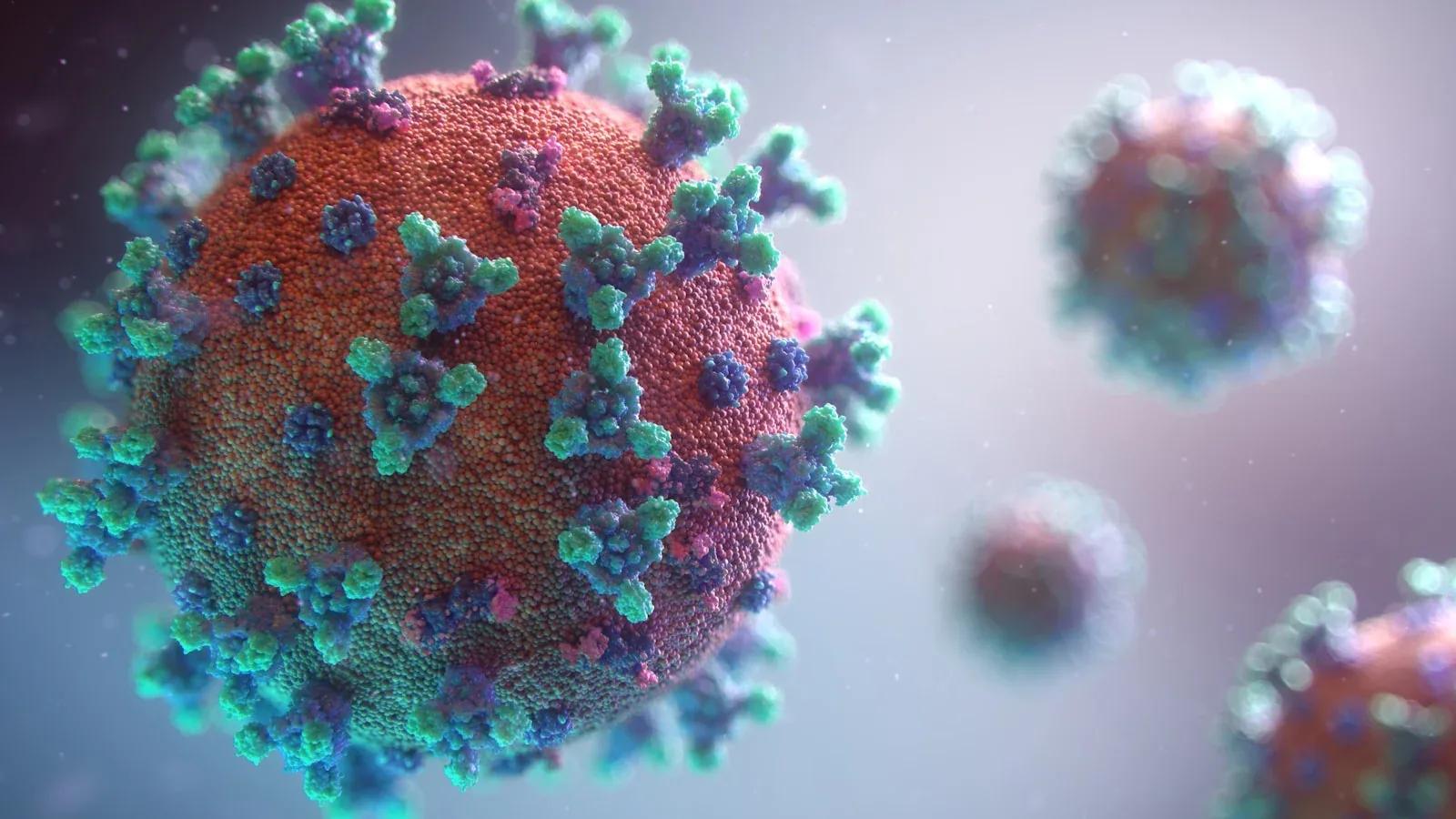 Hantavirus en direct 2026 : cas en France, souches et prévention