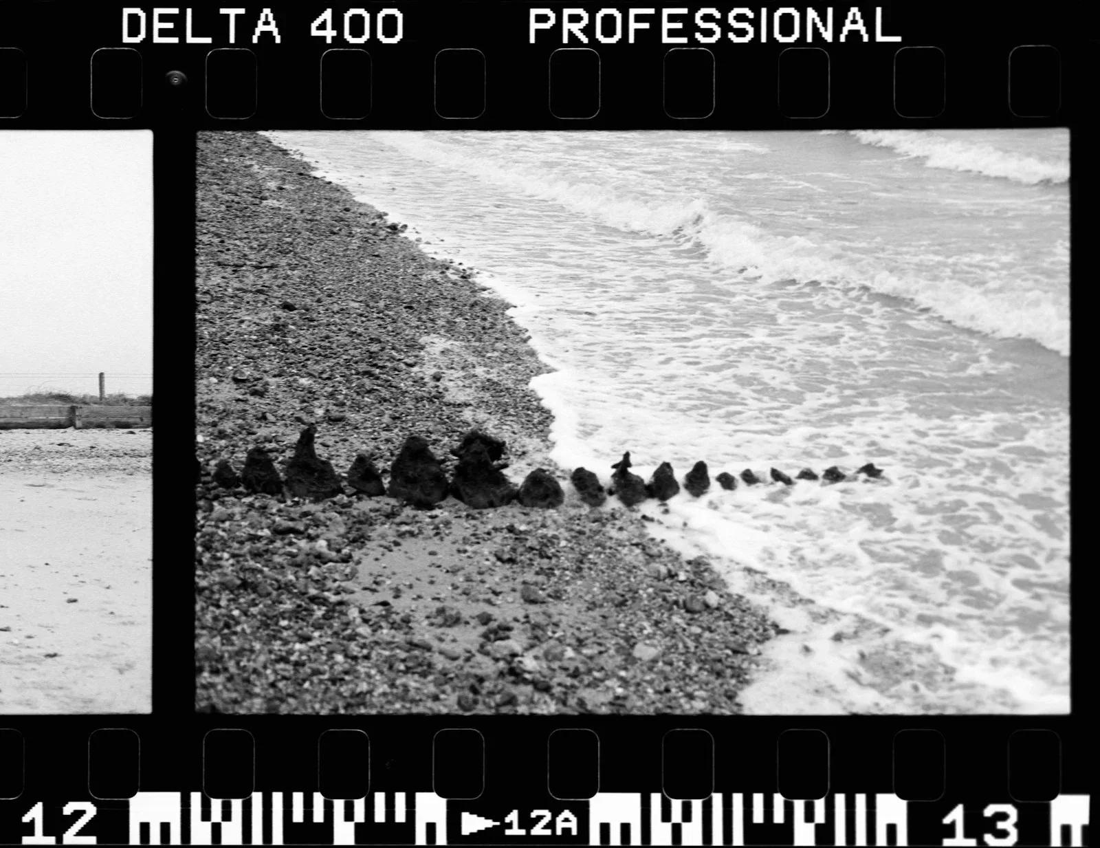 Débarquement de Normandie : chronologie, plages et secrets du D-Day