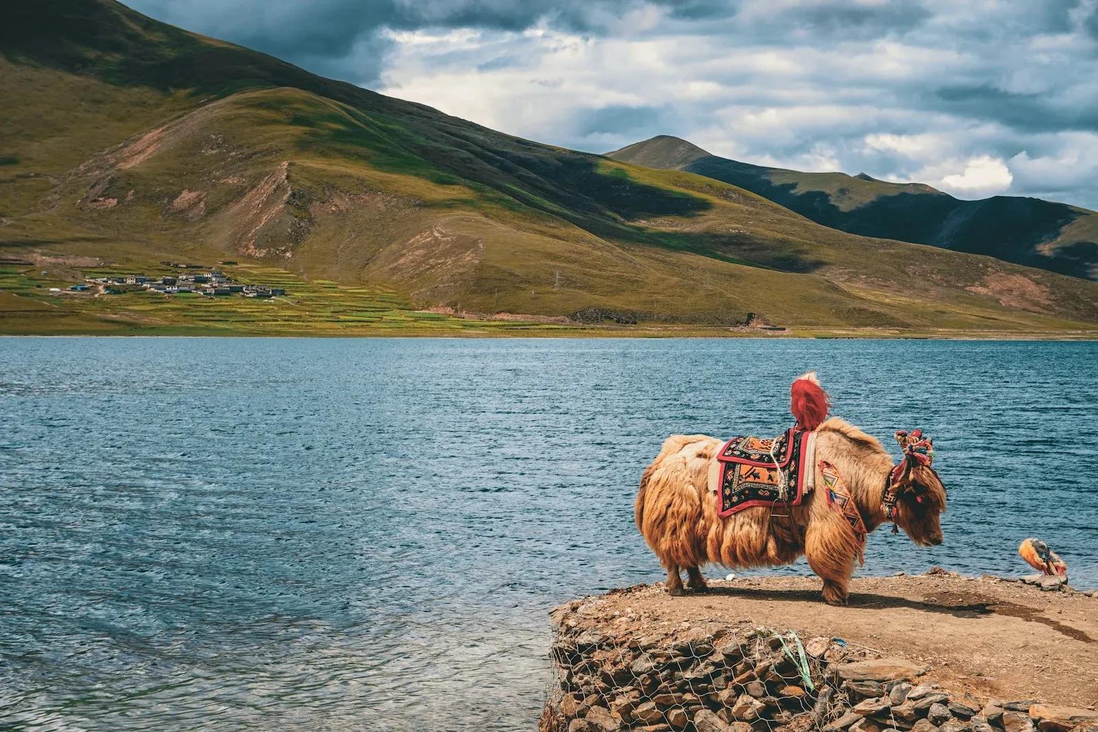 Inondations Népal-Tibet : bilan humain et crise climatique en Himalaya