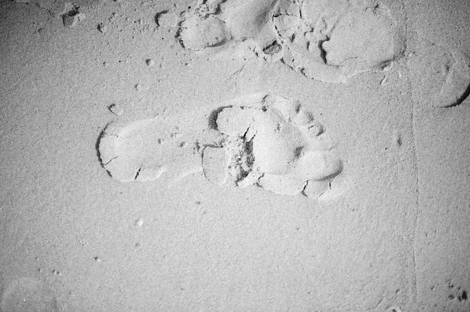 Mort violente : ce que la science lit réellement sur le corps