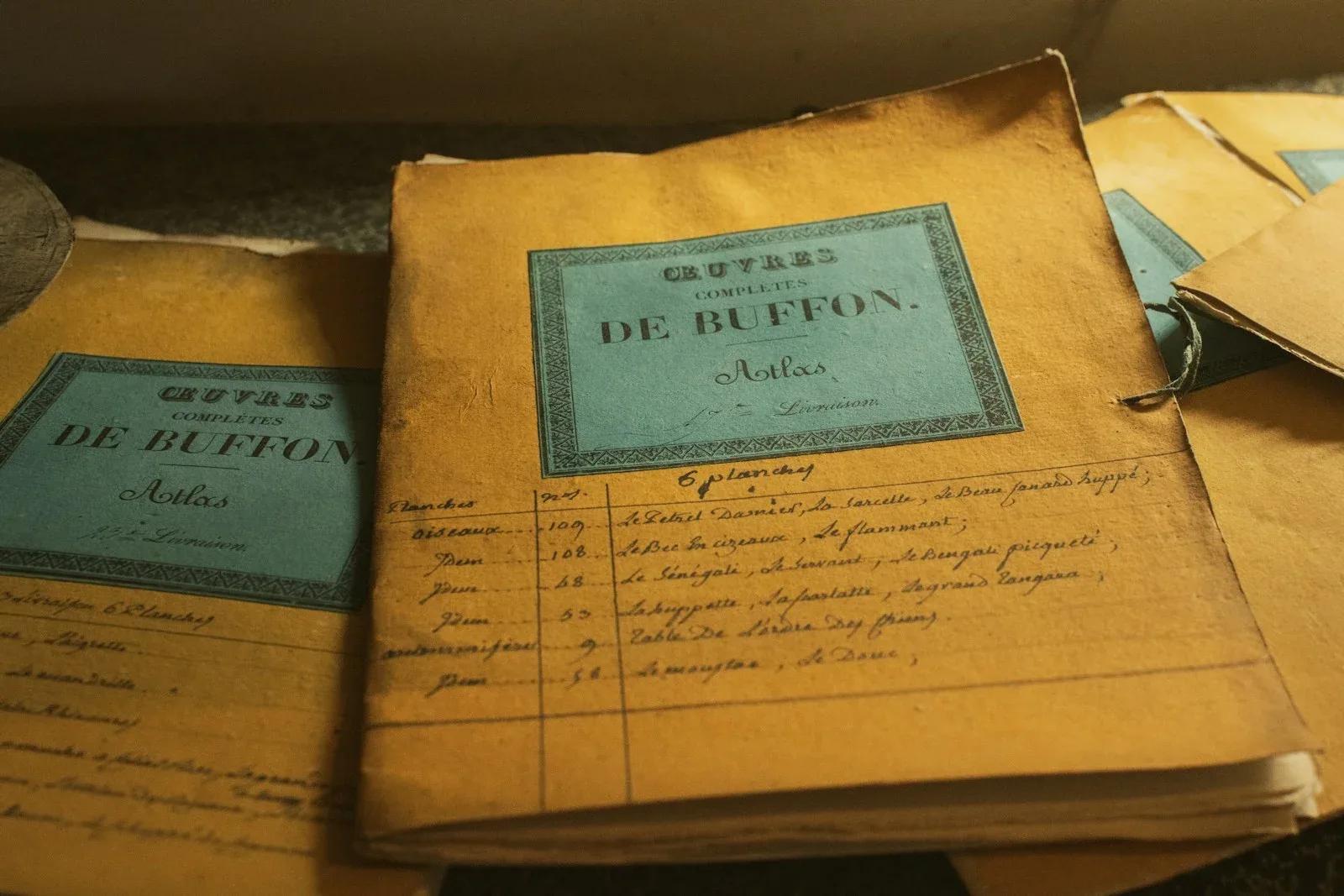 Déclaration 2026 : les cases du formulaire 2042 que vous négligez (et qui coûtent cher)