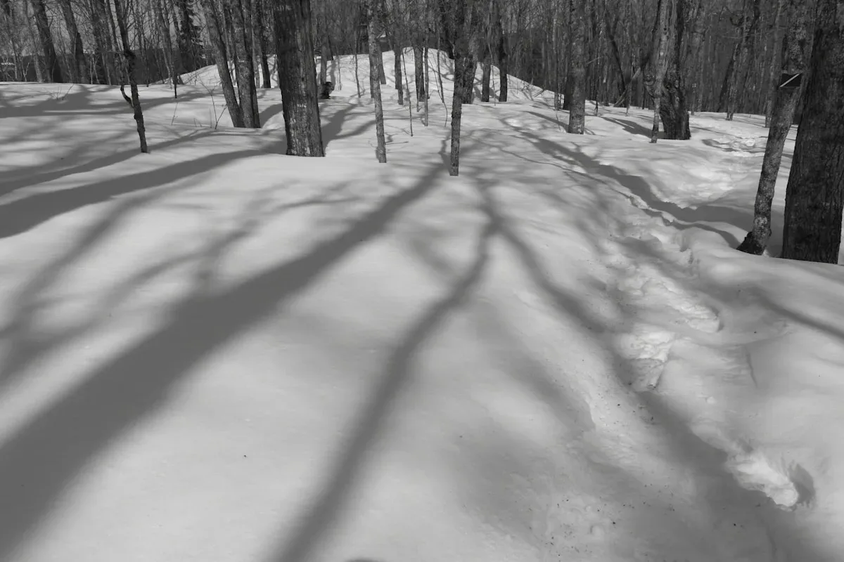Exemple de Mort de Quentin à Lyon