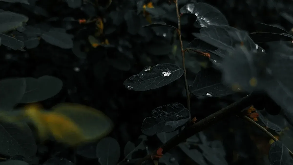 Détail le mercredi noir d’Édouard Philippe