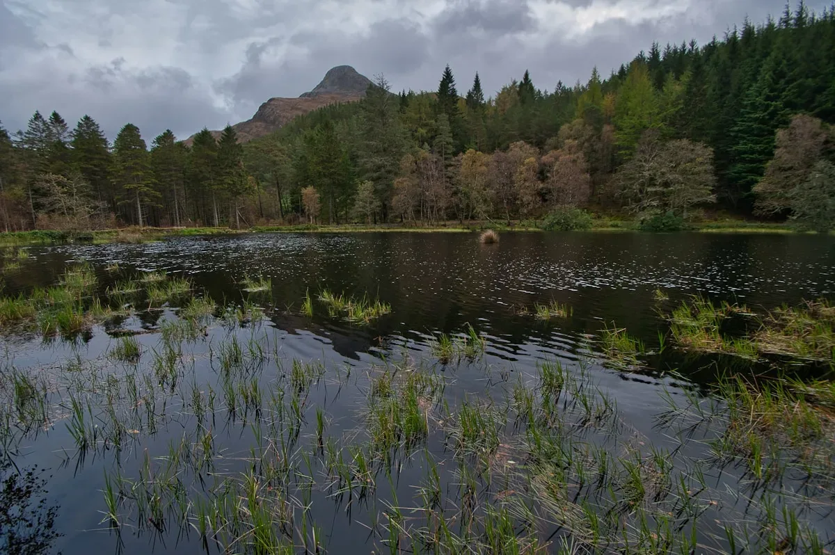 Détail Le Royaume-Uni retire son personnel diplomatique d’Iran