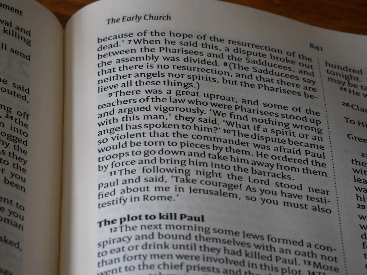 Détail L’éditorial de Patrick Saint-Paul