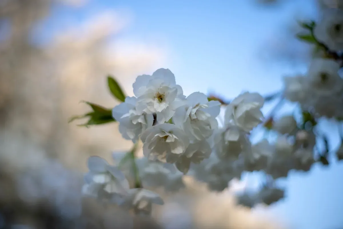 Exemple de Dans l'Eure