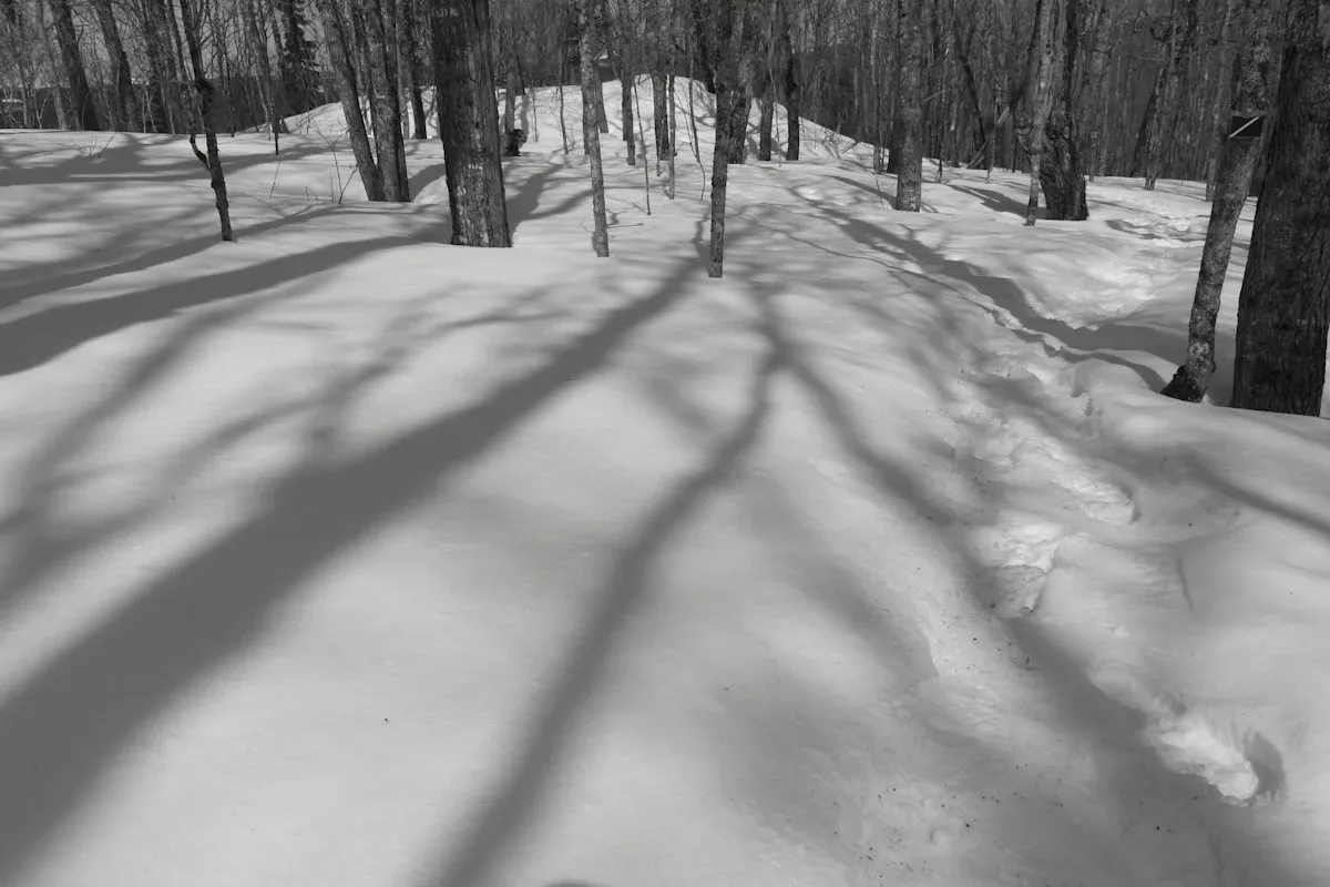 Exemple de Quentin Deranque mort circonstances et hommages