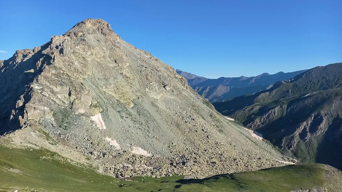 Détail Tête de porc devant chez Christian Estrosi