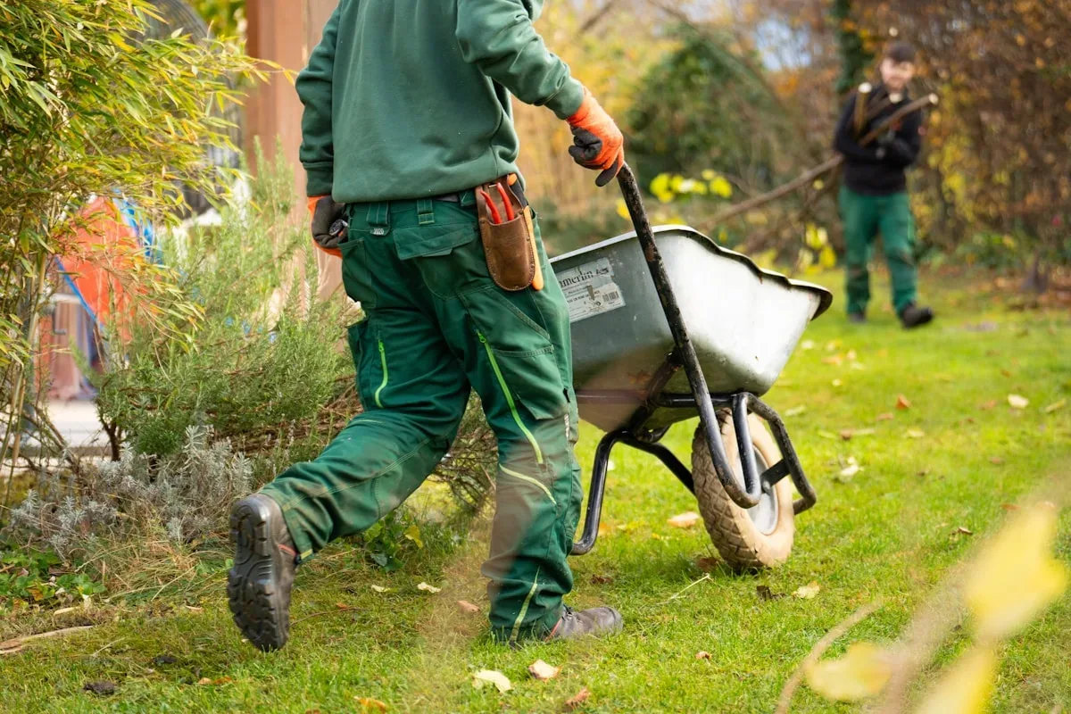 Gel puis quasi été en 72 h : Potager et jardin : que couvrir, que découvrir lors d'un yo-yo gel-chaleur ?