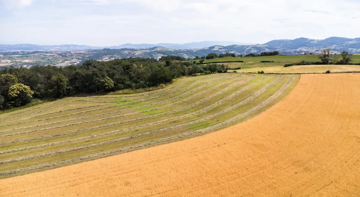Depardon : De San Clemente à la France rurale : quels films ont forgé sa légende ?