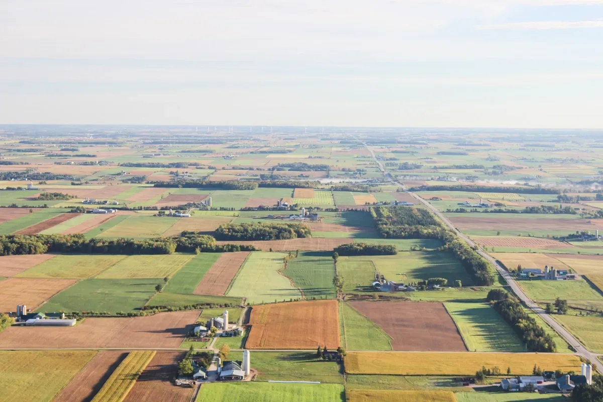 L’expérience sicilienne devrait servir d’avertissement : Tourisme durable, agritech et coopératives : ce qui a partiellem...