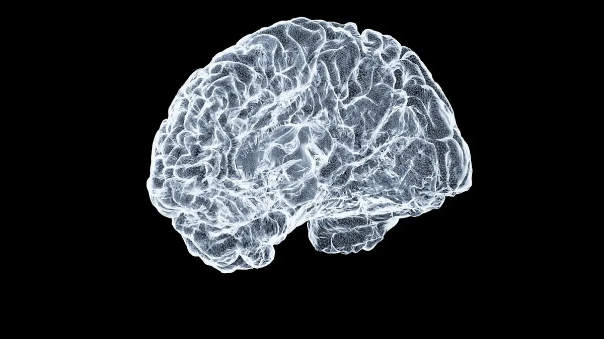 En cinq minutes, tout s’est effondré : Ce que le cortisol fait à votre cerveau pendant les premières minutes
