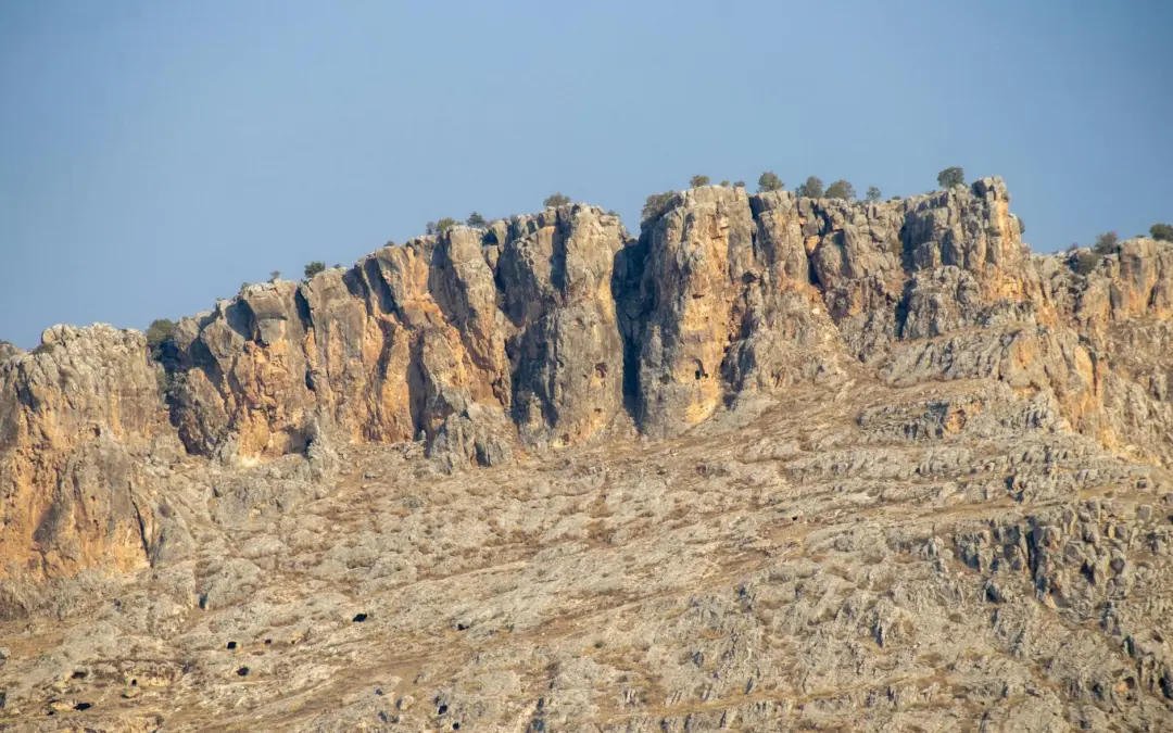 Cnews : La chaîne d’info en continu fait peau neuve en 2023