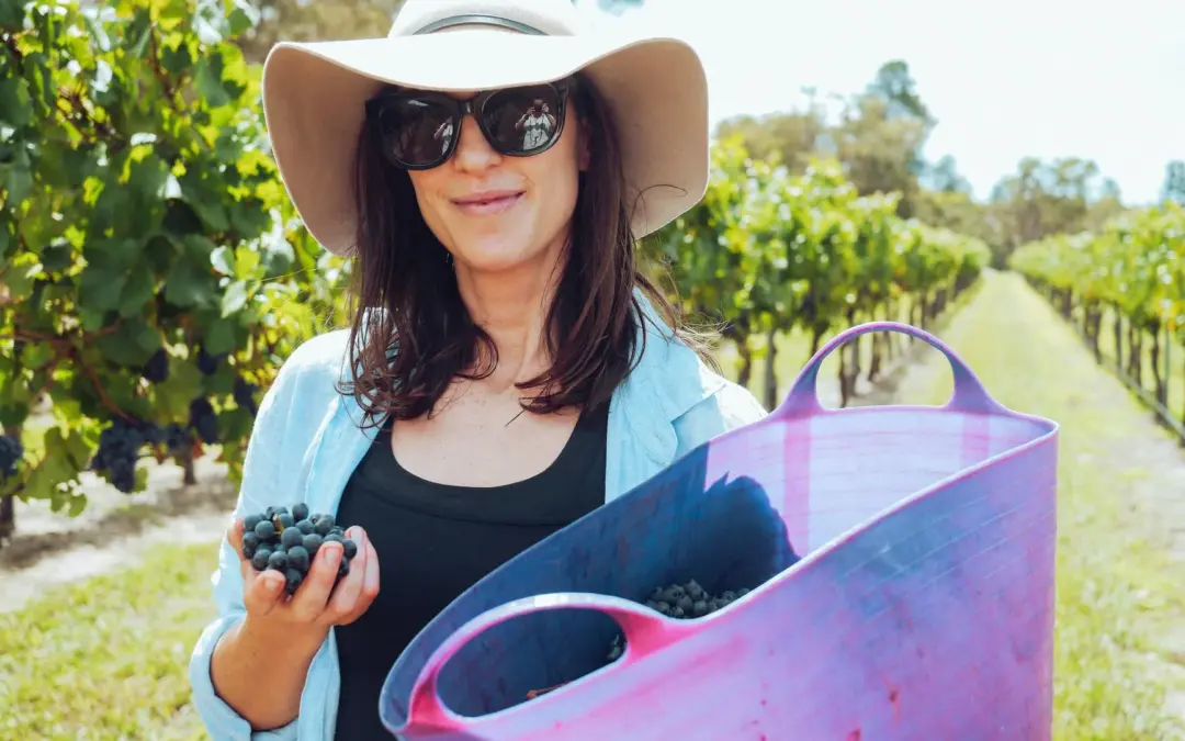 Agriculteur inspectant des cultures dans un champ