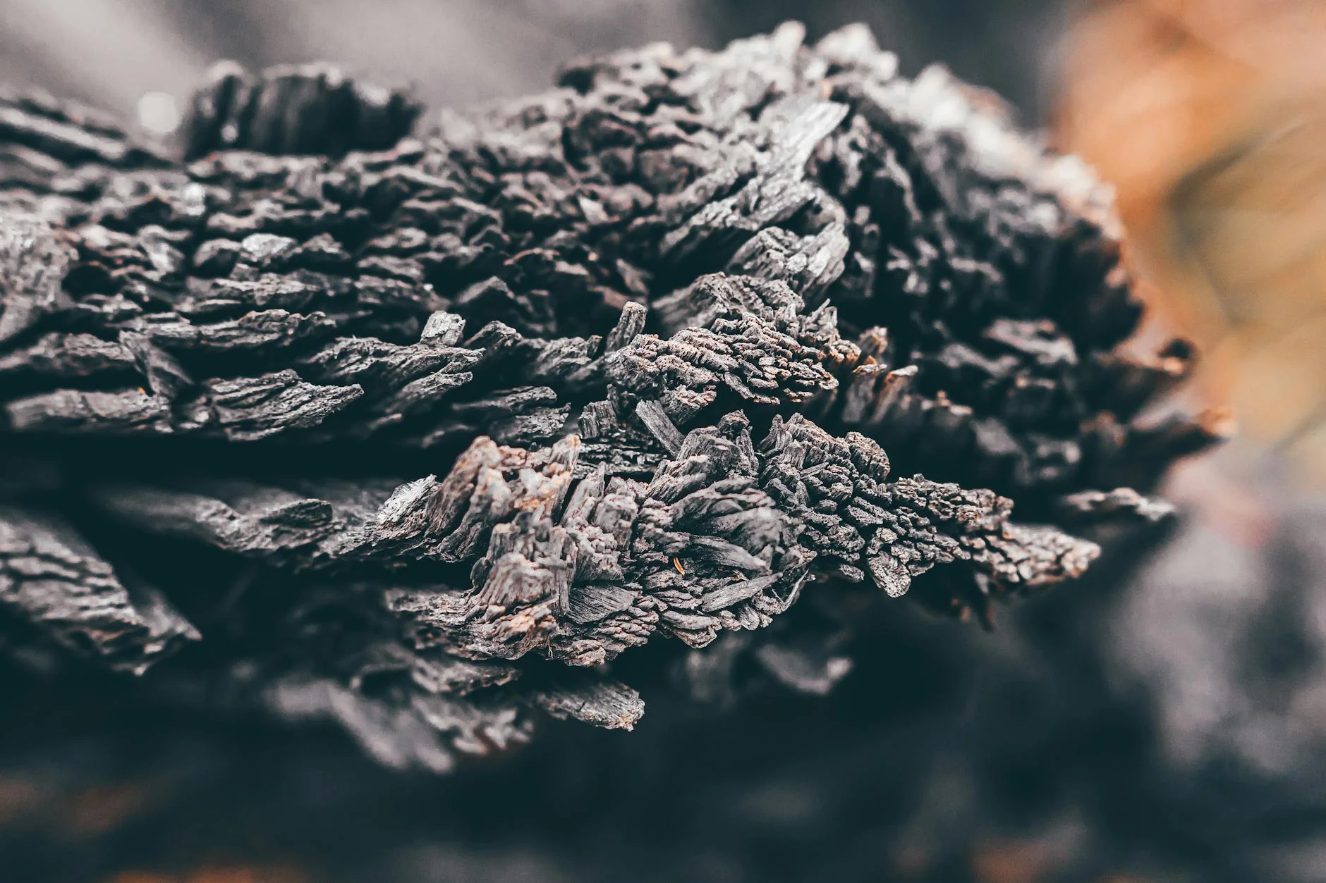 Dommages causés par l’incendie Dégâts intérieurs de la Maison radieuse après l'incendie